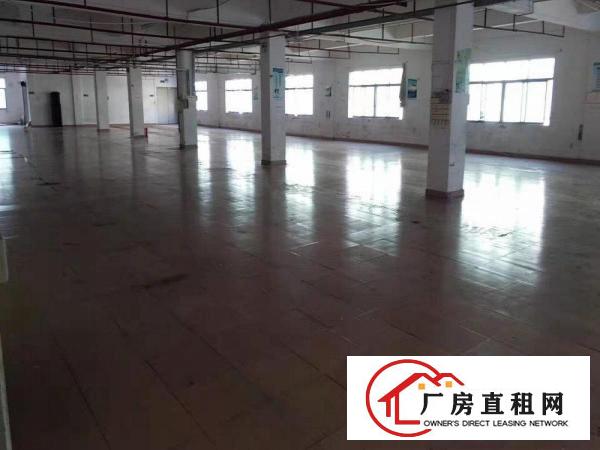  万江客运总站出租万江周边莞万江水蛇涌全新独门独院厂房出租