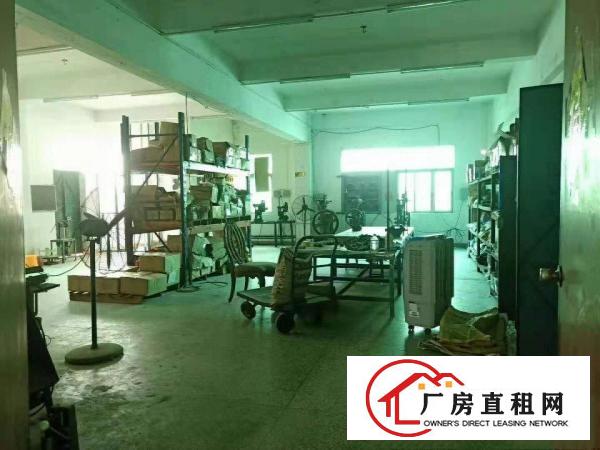  万江客运总站出租万江周边莞万江水蛇涌全新独门独院厂房出租