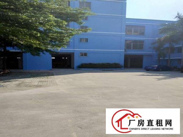  万江客运总站万江南城大量独院小型一楼厂房仓库招租工业园楼