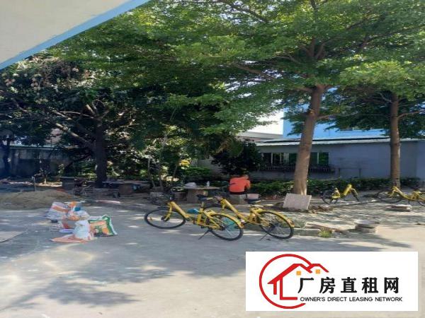  万江客运总站万江南城大量独院小型一楼厂房仓库招租工业园楼