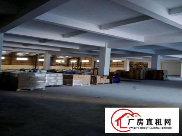  万江客运总站万江南城大量独院小型一楼厂房仓库招租工业园楼