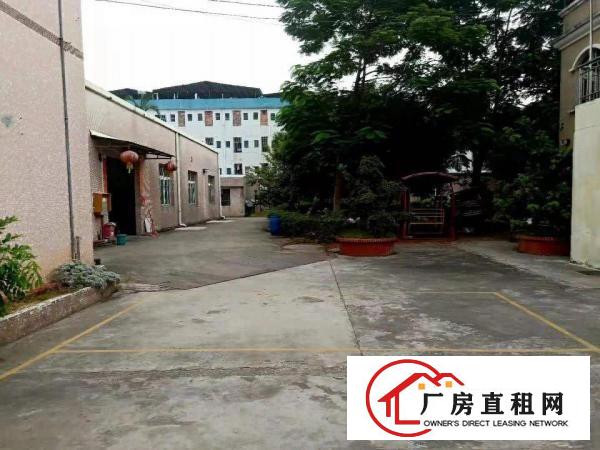  出租万江江滨花园万江万江周边独院单一层1500平方招租，