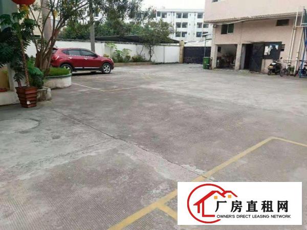  出租万江江滨花园万江万江周边独院单一层1500平方招租，