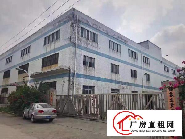  出租万江江滨花园万江万江周边独院单一层1500平方招租，