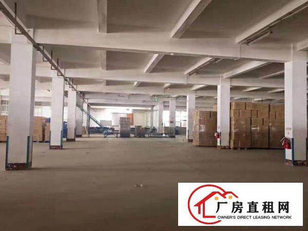 出租万江江滨花园万江万江周边独院单一层1500平方招租，