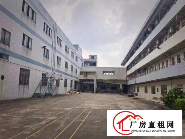  出租万江江滨花园万江万江周边独院单一层1500平方招租，