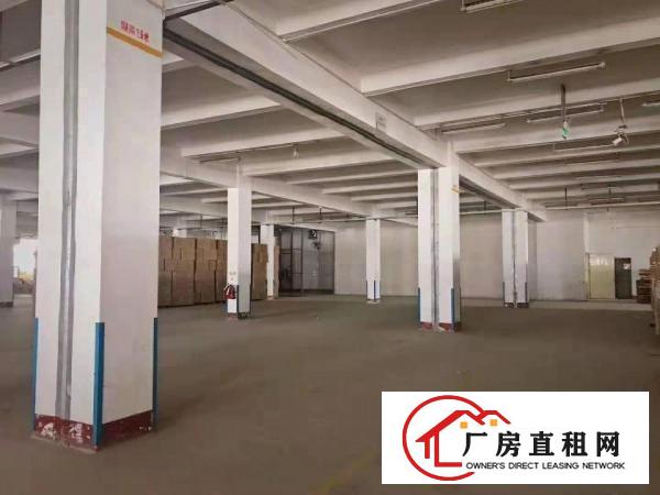  出租万江江滨花园万江万江周边独院单一层1500平方招租，