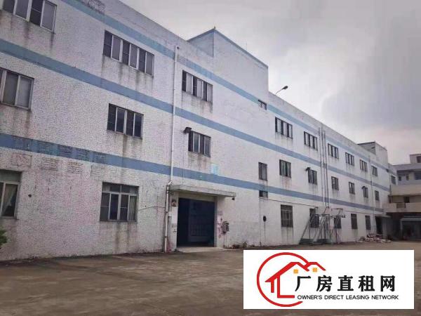  出租万江江滨花园万江万江周边独院单一层1500平方招租，