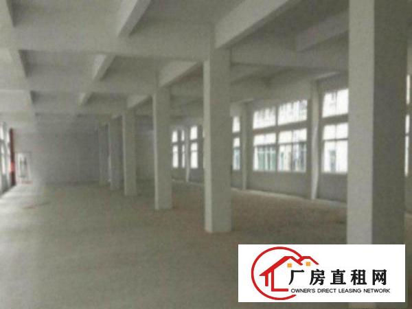  万江交通方便独院标准厂房分租一楼700平米出租