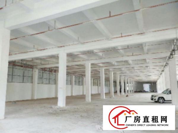  万江新出一楼2000平米7米高装修厂房出租