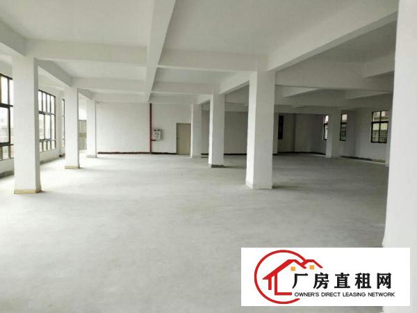  万江牌楼基工业区单一层独院厂房2800可分租1000