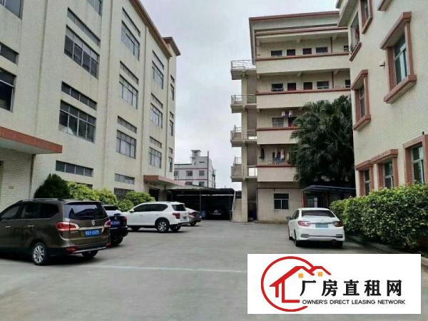  万江标准5米一楼1500平方急租(现成办公室)