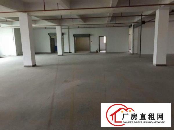  万江工业园楼上带装修厂房分租1600平方出租