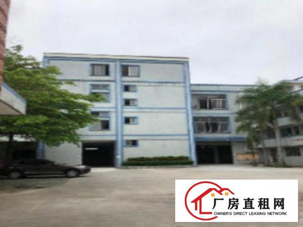  万江经典独院标准楼房厂房2600平方出租