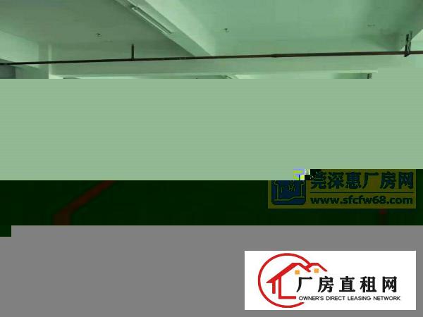  标准楼房一楼1500平方，可分租，500起租
