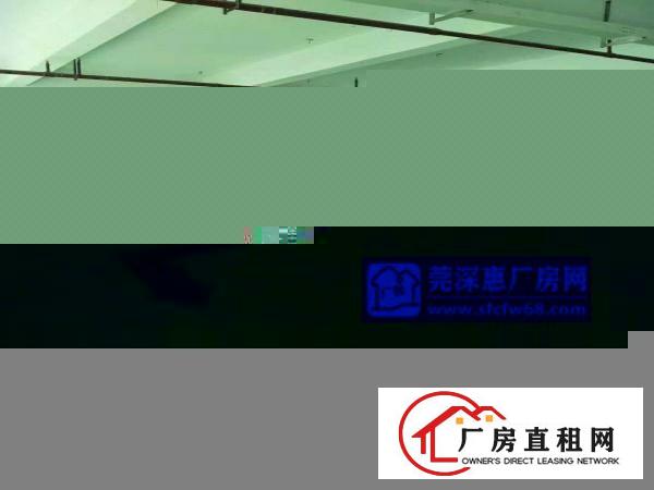  标准楼房一楼1500平方，可分租，500起租