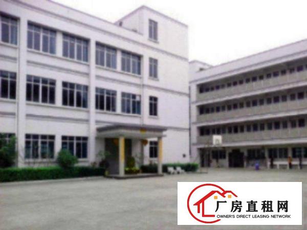  万江大量独院标准厂房仓库200至20000平方招租