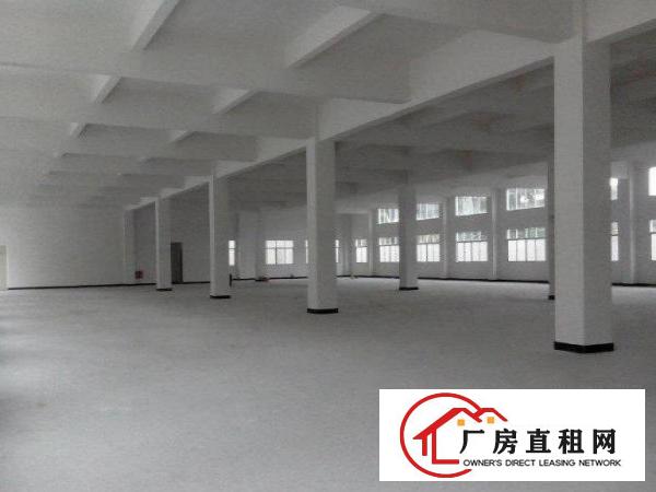  石美新出1100平米标准一楼厂房招租