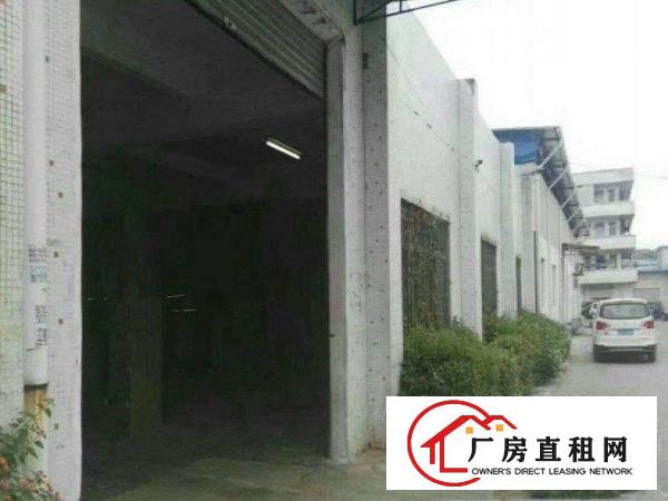  万江新出环城路边工业园分租1200平方单一层钢构厂房仓库出租