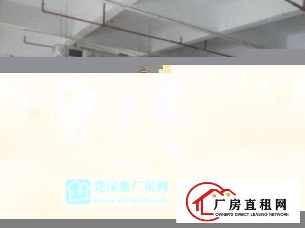  万江拔蛟窝(现成装修)标准一楼2000平方招租