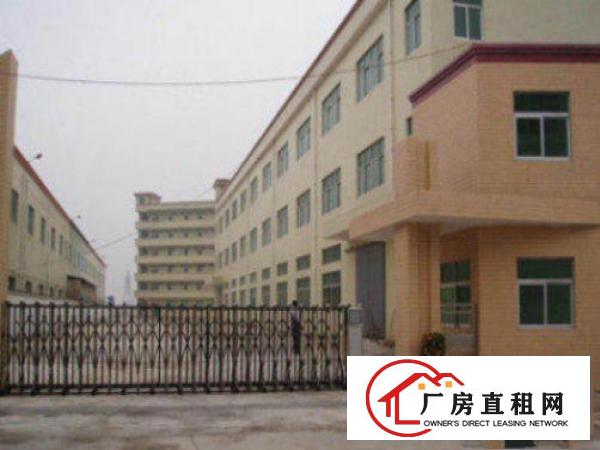  万江国道边工业区标准一楼1000平方招租水电齐全