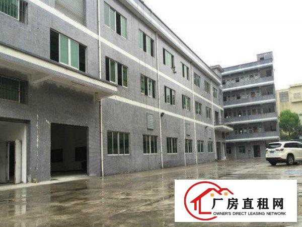  万江带现成装修标准一楼870平方招租