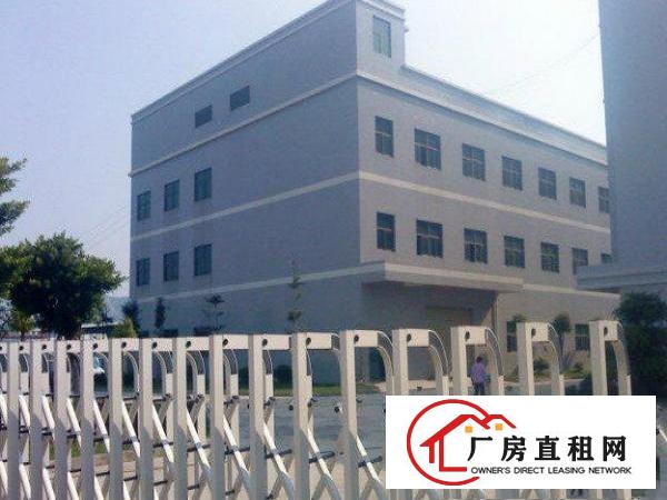  万江带现成装修标准一楼870平方招租