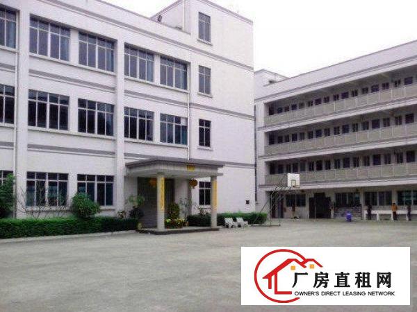  万江带现成装修标准一楼870平方招租