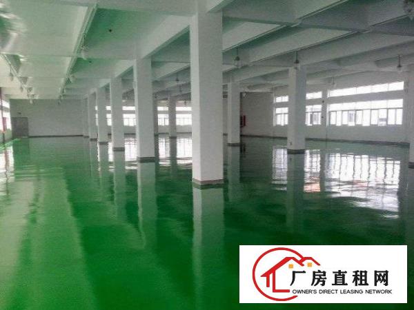  万江屋原房东出租独院厂房1000平方形象好空地大租金便