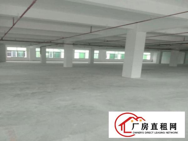  万江.标准厂房分租楼3楼2000平，有电梯，宿舍按需，有精装
