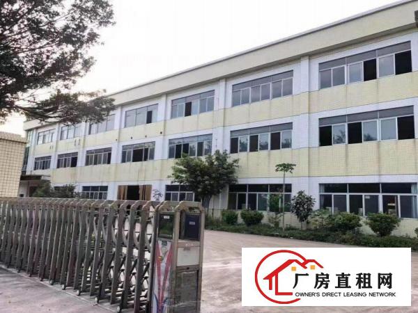  万江新出600平米标准一楼厂房招租
