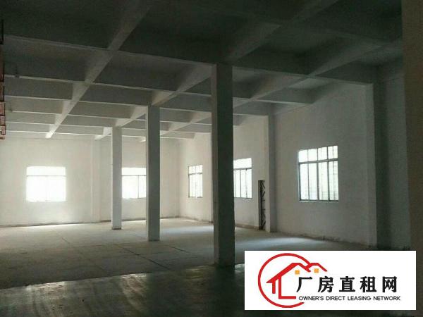  出租万江万江中心一楼或二楼1500平方急租(现成办公室)