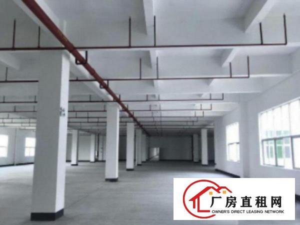  万江​工业区标准一楼1000平方招租水电齐全