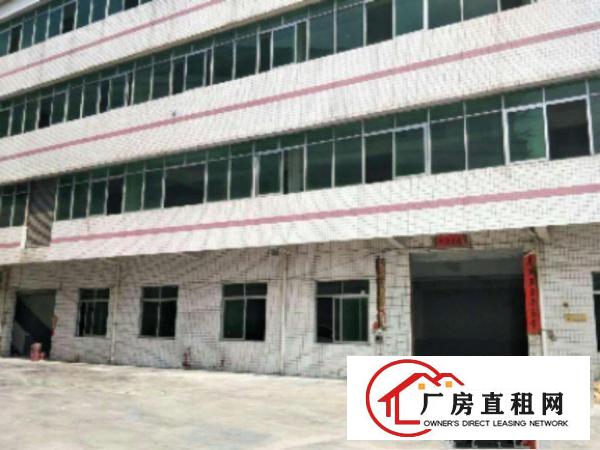  万江新出独门独院厂房5000平方出租制衣厂等等行业,厂房交通