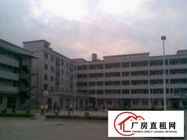  万江1500平米一楼标准厂房出租水电齐全交便利，易招工