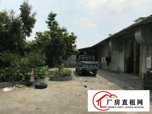  万江万江中心单一层厂房1400平方，滴水7米带隔热层工业地