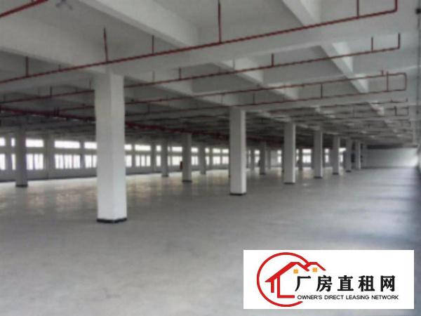  万江工业区，一楼2000方，有现成装修。水‌‌电，消防