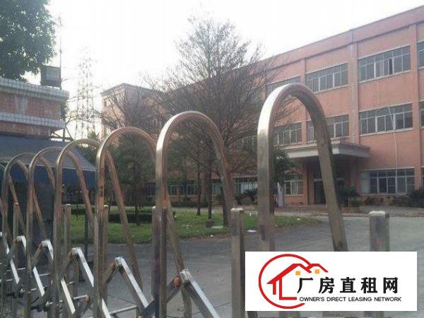  万江流涌尾新出一楼1000平米7米高装修厂房出租