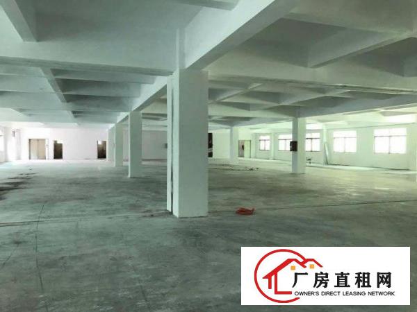  万江标准独院三层厂房4000平方米出租