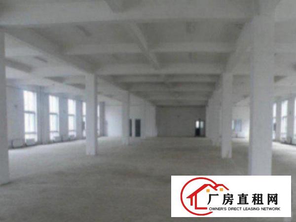  万江10001500平方一楼厂房出租
