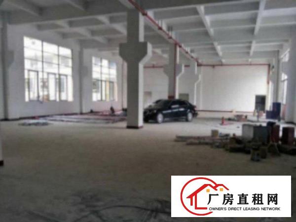  万江石美独院厂房分租1楼1800平方低价招租，带牛角