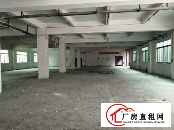  万江标准二楼1500平方急租(现成办公室)交通便利