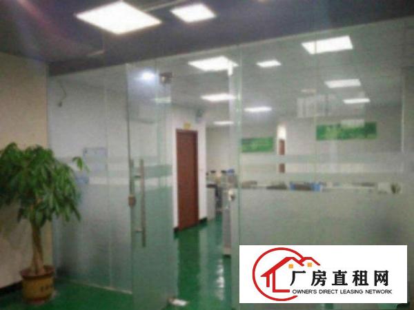  万江工业区标准厂房一楼1400平方招租配电80干瓦，空地