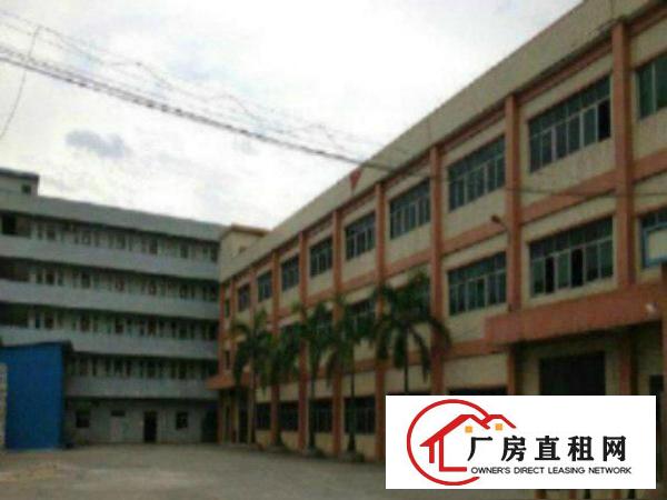  万江周边标准厂房出租每层1200方可以分租