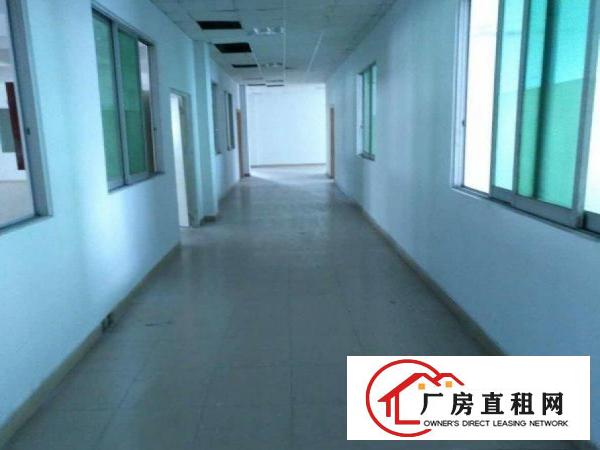  万江工业区独门独院标准厂房4500平方可分租1000