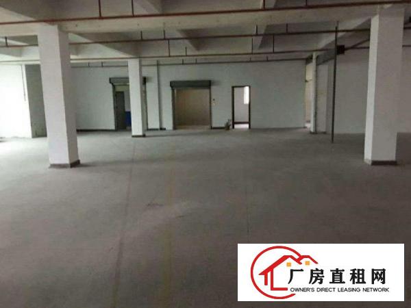  万江石美工业区新出独门独院标准厂房一楼整层1700平配电超大
