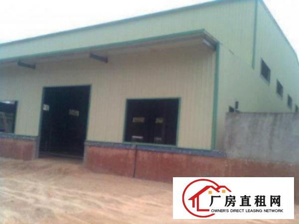  万江单一层铁皮独院1100平米厂房招租，水电齐全消防等设施齐