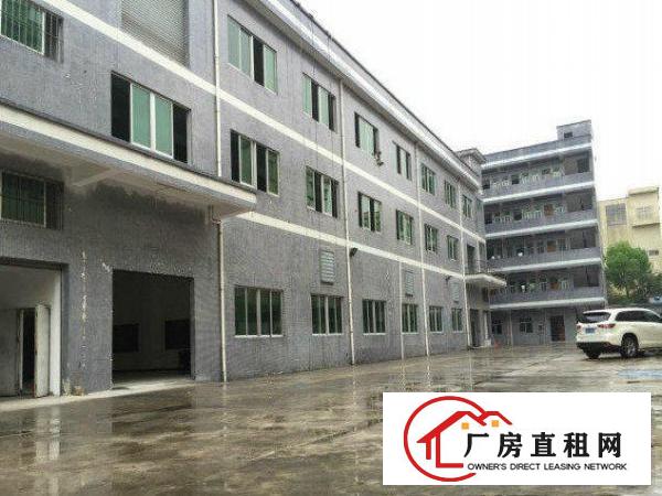  万江标准一楼厂房750平方出租(配套齐全