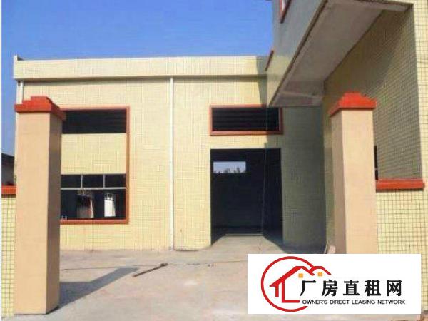  万江新出单一层厂房1500平方出租