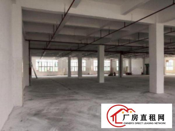  万江周边一楼750厂房出租